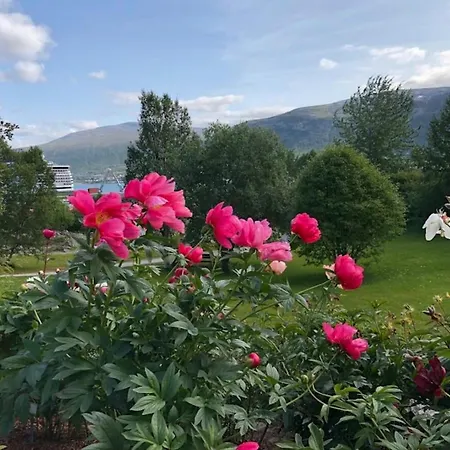 Location In The Center With Free Parking Apartment *