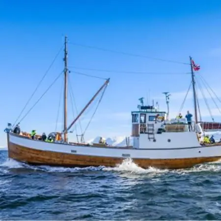 Location In The Center With Free Parking Apartment